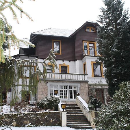 Ferienhotel Waldfrieden Bad Sachsa Exterior foto