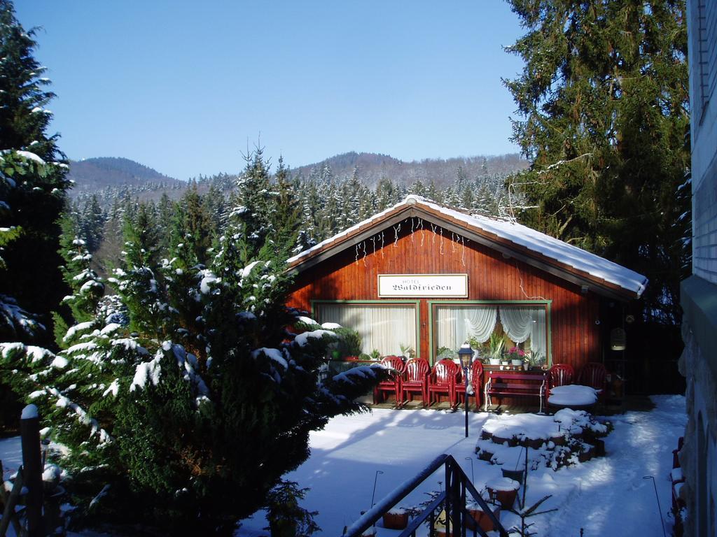 Ferienhotel Waldfrieden Bad Sachsa Exterior foto