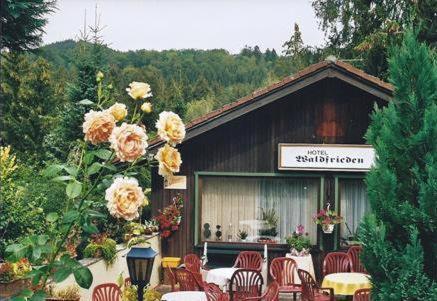 Ferienhotel Waldfrieden Bad Sachsa Exterior foto